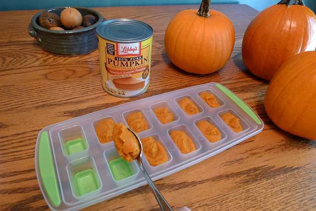 how much pumpkin puree to give a dog