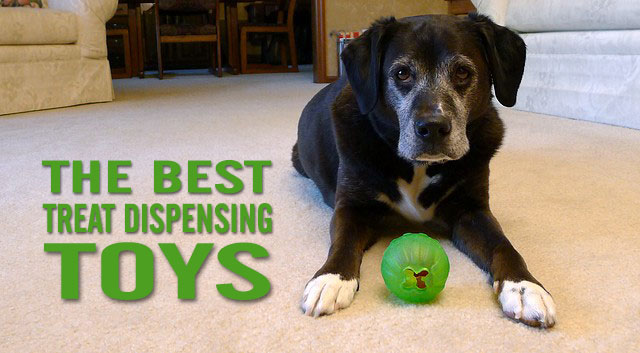 best treat dispensing dog toys