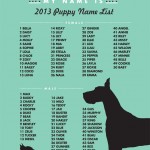 Most Popular Puppy Name of 2013