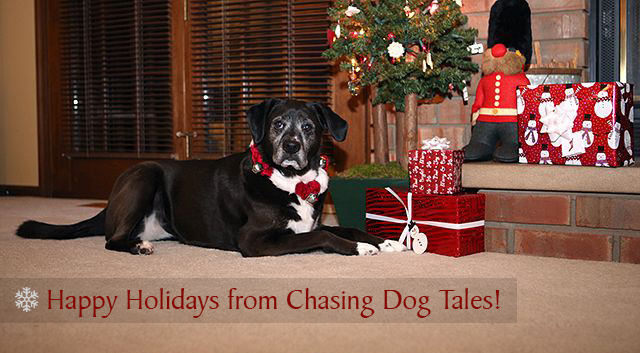 Happy Holidays from Chasing Dog Tales