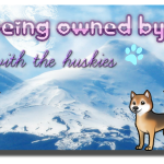 Love is being owned by a husky