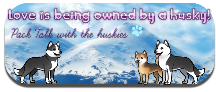 Love is being owned by a husky