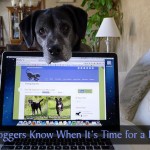 How Pet Bloggers Know When It's Time for a Break