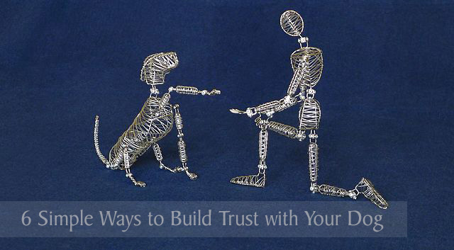 6 Simple Ways to Build Trust With Your Dog