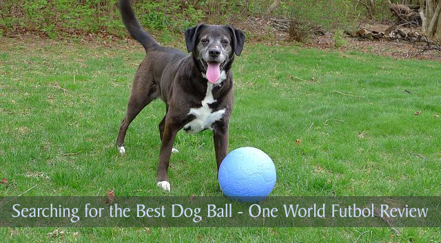 Searching for the Best Dog Ball - One World Futbol Review