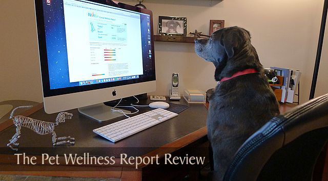 Pet Wellness Report Review