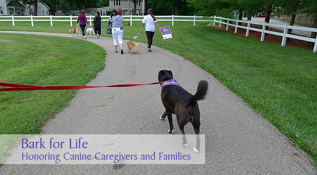 Bark for Life Honors Canine Caregivers and Families