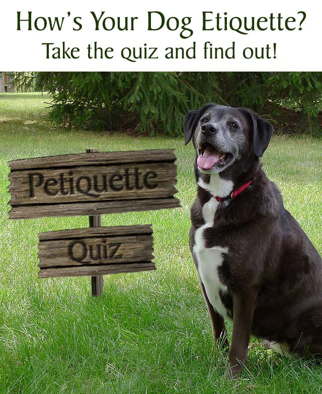Check Your Petiquette Quiz!