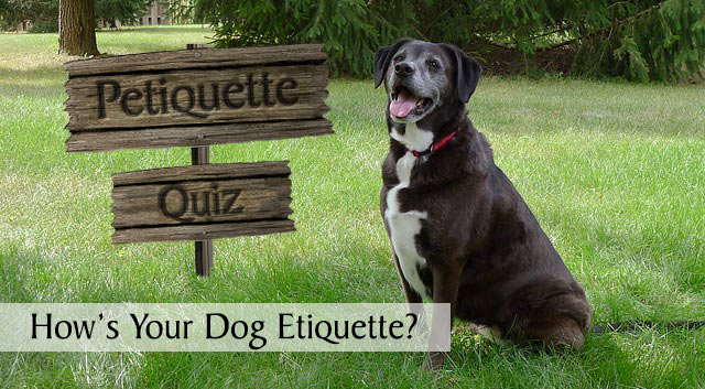 Check Your Petiquette - How's Your Dog Etiquette?