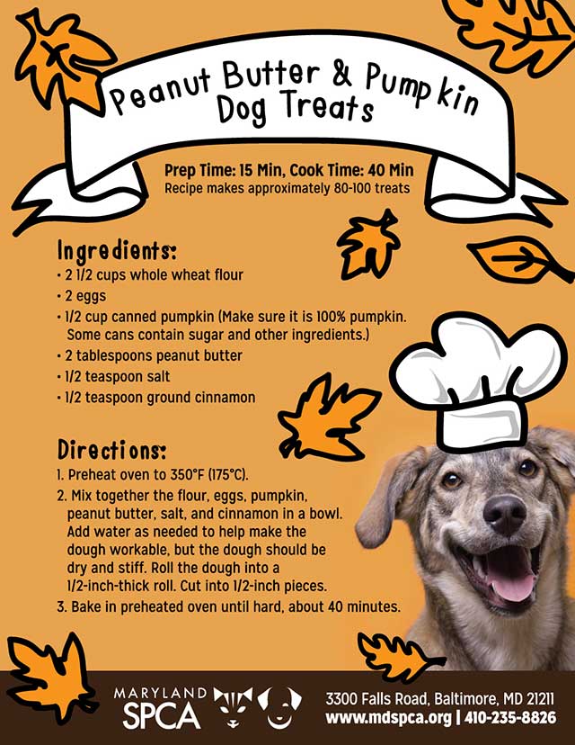 Pumpkin Dog Treats