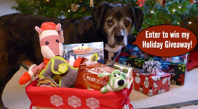 Haley's Holiday Gift Giveaway