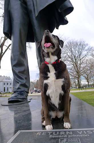 Dog with Abraham Lincoln