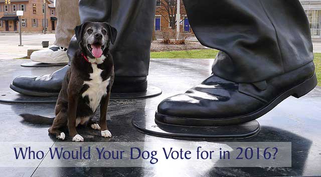 Who Would Your Dog Vote for in 2016?