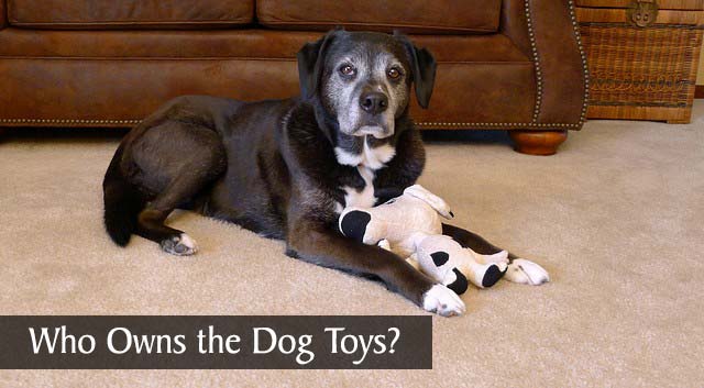 Who Owns the Dog Toys?