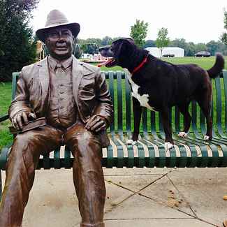 Dog With Statue