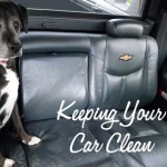 10 Tips for Keeping Your Car Clean With a Dog