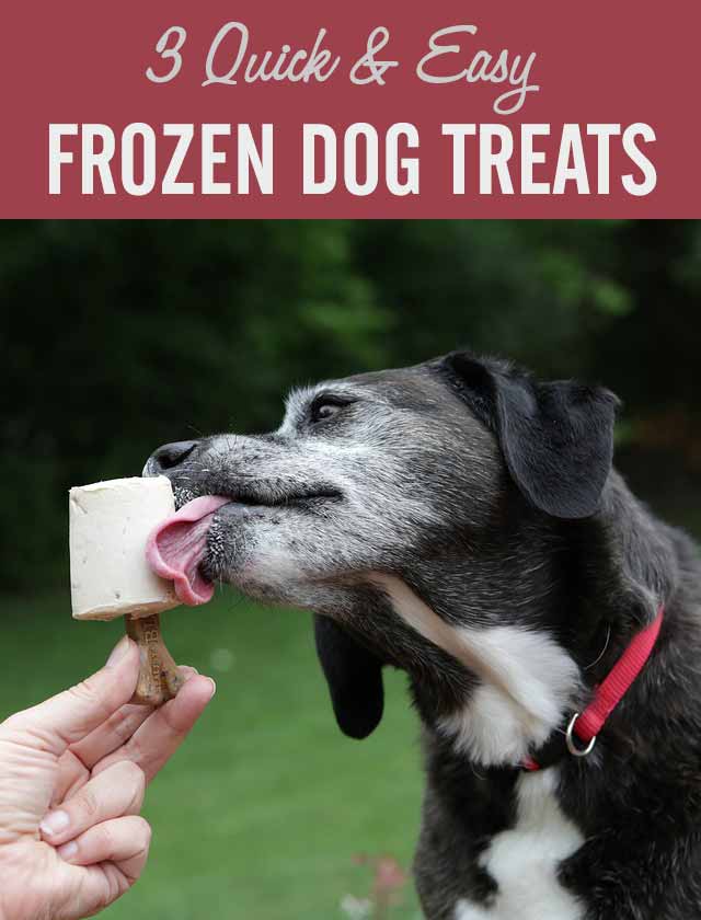 3 Quick & Easy Frozen Dog Treats