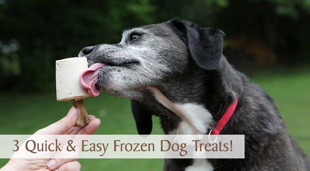 can a dog eat frozen yogurt