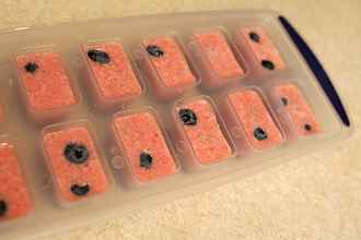 Watermelon Blueberry Dog Treats