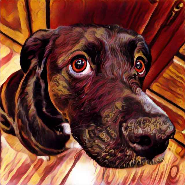 Dog With Prisma Candy Effect