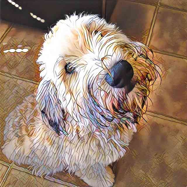 Dog With Prisma Mosaic Effect