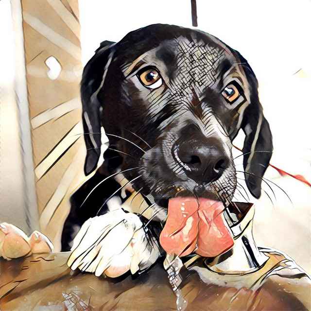 Dog With Prisma Transverse Line Effect