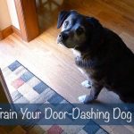 How to Train Your Door-Dashing Dog