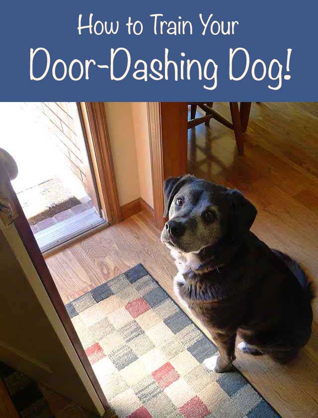 How to Train Your Door-Dashing Dog