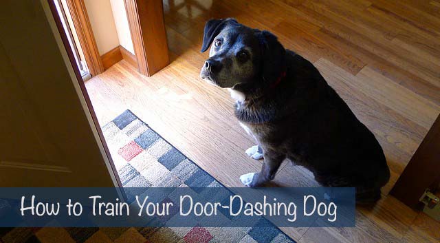 How to Train Your Door-Dashing Dog