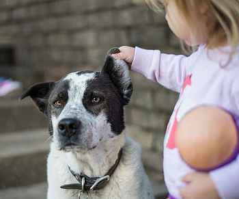 Child Teasing a Dog