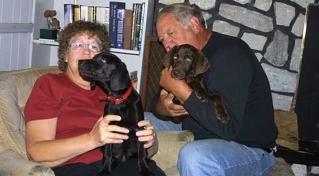 Mom and Dad With Dogs