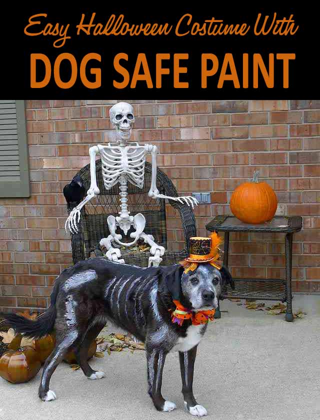 Skeleton Dog With Dog Safe Paint