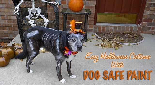 Skeleton Dog With Dog Safe Paint