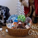 Haley's Holiday Giveaway