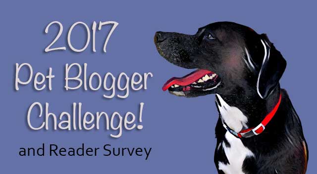 2017 Pet Blogger Challenge