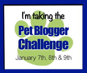 2017 Pet Blogger Challenge