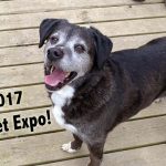 The 2017 Global Pet Expo