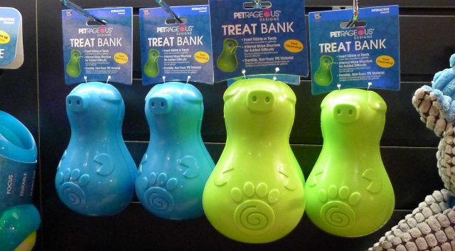 Petrageous Thinkrageous Treat Bank